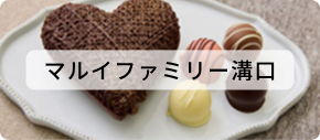 マルイファミリー溝口のデジタルカタログを見る
