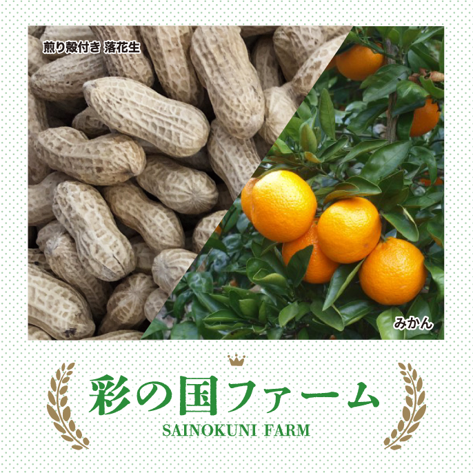 Saitama Fair
